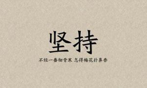 企业每天对网站优化什么工作