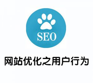 如何使用标签优化获得长尾关键词排名