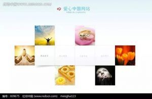 做网站采用flash的好处和坏处
